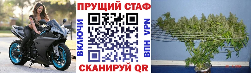Магазины продажи наркотиков Снежногорск ГАШ КОКАИН А ПВП Меф мяу мяу