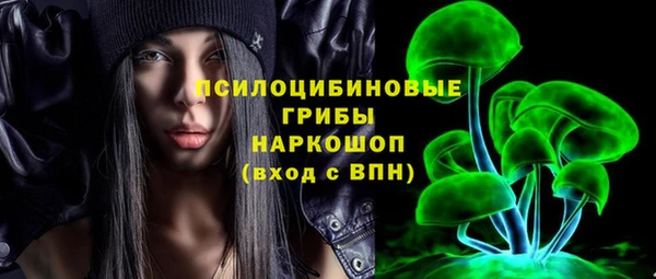 дмт Лагань