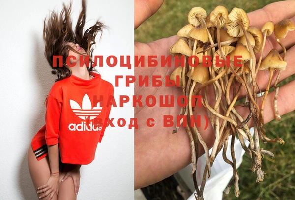 дмт Лагань
