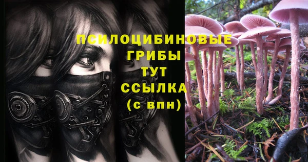 дмт Лагань
