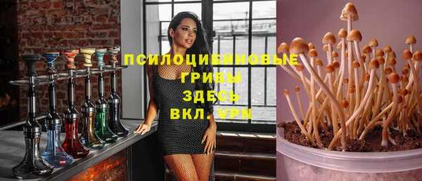 дмт Лагань
