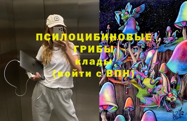 дмт Лагань