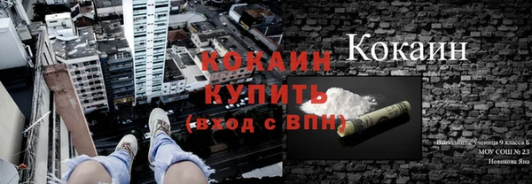 дмт Лагань