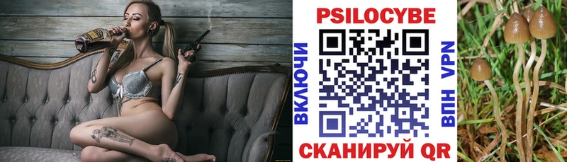 Галлюциногенные грибы Magic Shrooms даркнет клад Снежногорск
